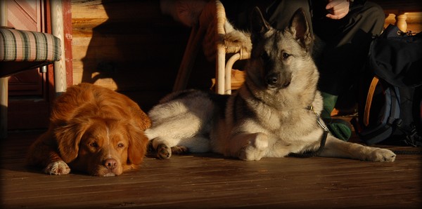 Mauser & Emil